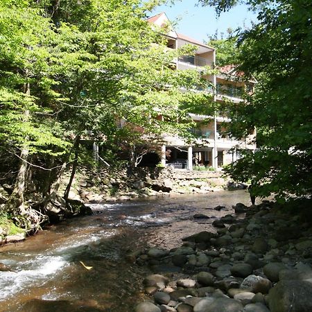 Park Place Condos Gatlinburg Exterior foto